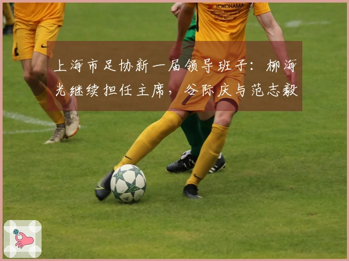 上海市足协新一届领导班子：柳海光继续担任主席，谷际庆与范志毅等担任副主席