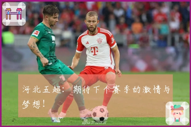 河北五超：期待下个赛季的激情与梦想！